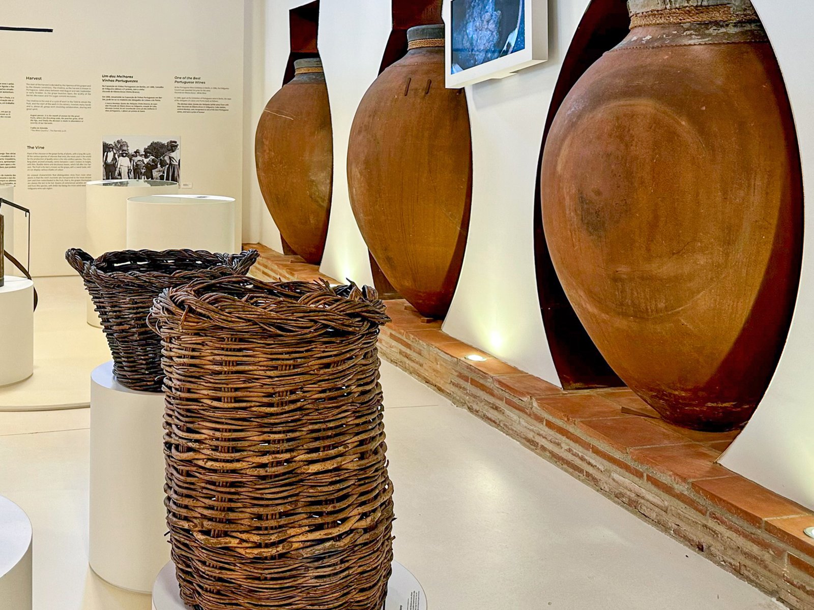 Clay talhas for traditional Alentejo talha wine at the Talha Wine Centre in Vila de Frades · Photography: Vítor Oliveira